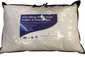 Pillows Barsleys Department Store