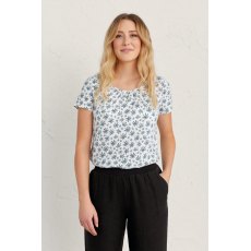 Decorative Arts Top Field Daisies Succulent Decorative Arts Top Field Daisies Succulent