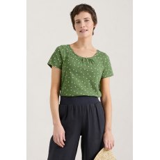 Decorative Arts Top Little Sponge Spot Spring Grass Decorative Arts Top Little Sponge Spot Spring Grass