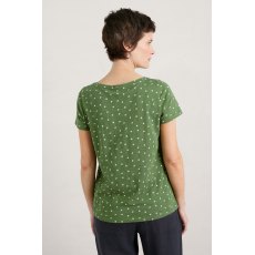 Decorative Arts Top Little Sponge Spot Spring Grass Decorative Arts Top Little Sponge Spot Spring Grass