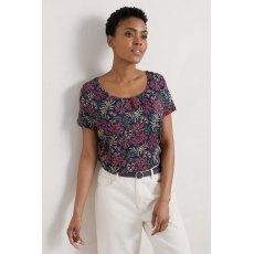 Appletree Top Sea Forest Maritime Appletree Top Sea Forest Maritime