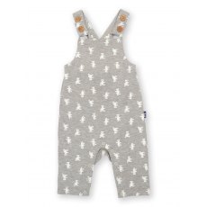 Teddy Dungarees