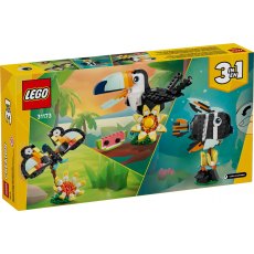 Wild Animals: Tropical Toucan