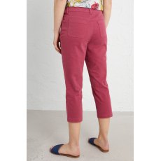 Albert Quay Crops Currant Albert Quay Crops Currant