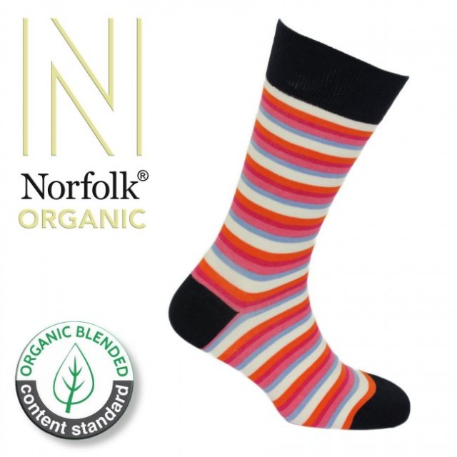 Norfolk Socks Socks Organic Fine Stripe
