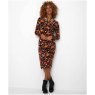 Joe Browns Fabulous Fox Dress