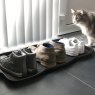 Boot Tray